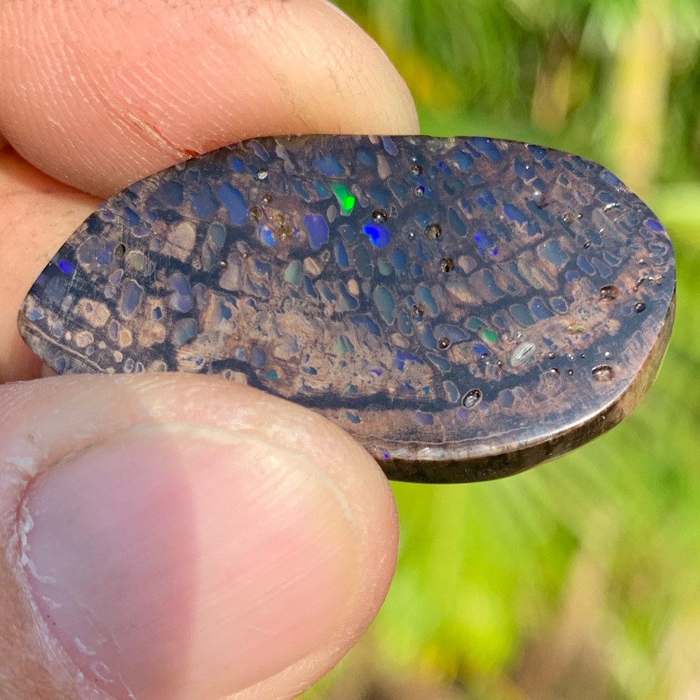Nevada conk opal